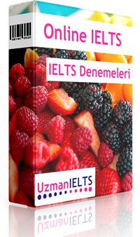 IELTS Denemeleri