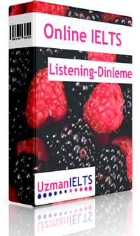 IELTS Listening Çalışmaları