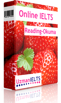 IELTS Reading Çalışmaları