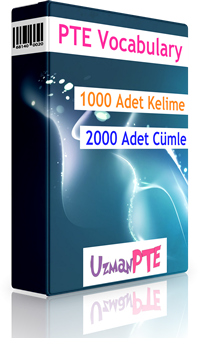 PTE Kelime Çalışmaları