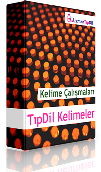 TıpDil İngilizce Kelime Çalışmaları